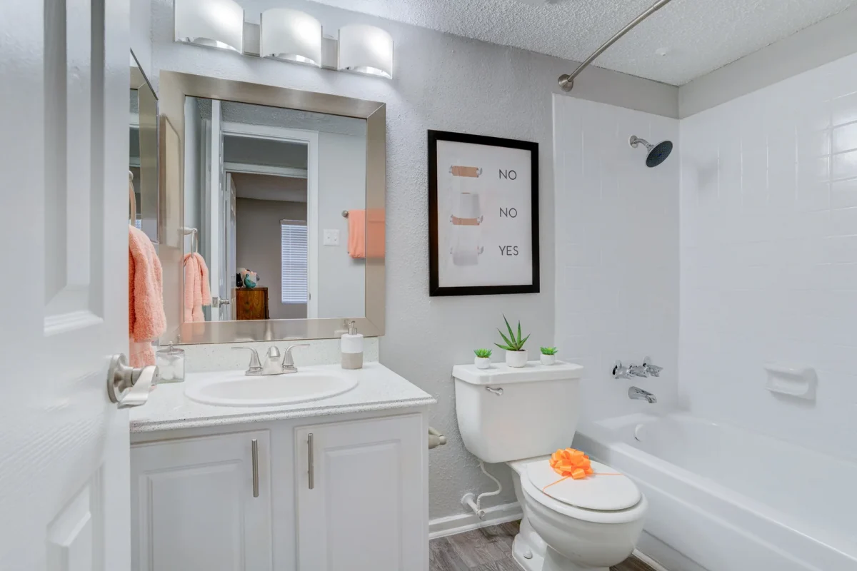 Bathroom with framed mirror and vanity at Falls of Gessner